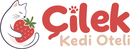 Çilek Kedi Oteli